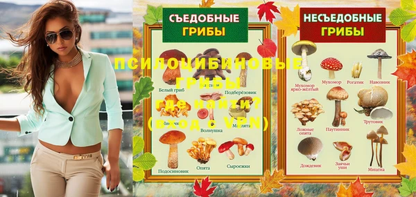 спайс Кукмор