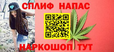 шишки Берёзовский