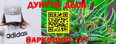 шишки Берёзовский