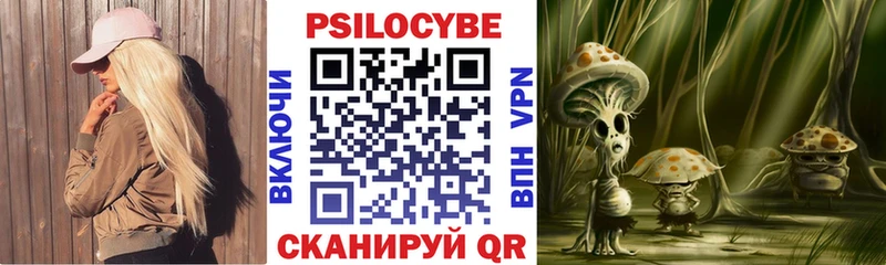 Галлюциногенные грибы Psilocybine cubensis  Рязань 